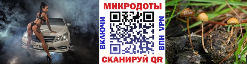 как найти закладки Нижневартовск Галлюциногенные грибы ЛСД